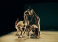 Alberto Velasco and his ballet for fat people: "But hippos are beautiful!"