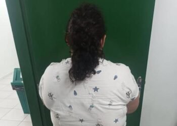 Woman pretends to be 12 years old and deceives family in SC – 06/03/2026 – Daily life