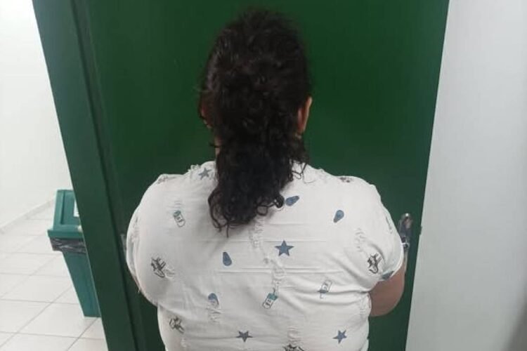 Woman pretends to be 12 years old and deceives family in SC – 06/03/2026 – Daily life