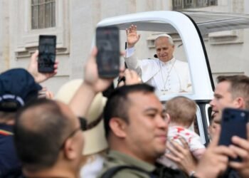 Pope at Audience: The liturgy leads us back to what is essential