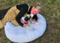 ‘We need one more miracle’: Kelowna dog safe at home after surviving, running away from rollover crash