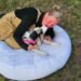 ‘We need one more miracle’: Kelowna dog safe at home after surviving, running away from rollover crash