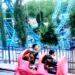 Eid in Sanaa…a joy of faith and an embodiment of the values ​​of tolerance and social solidarity – Al-Thawra Net
