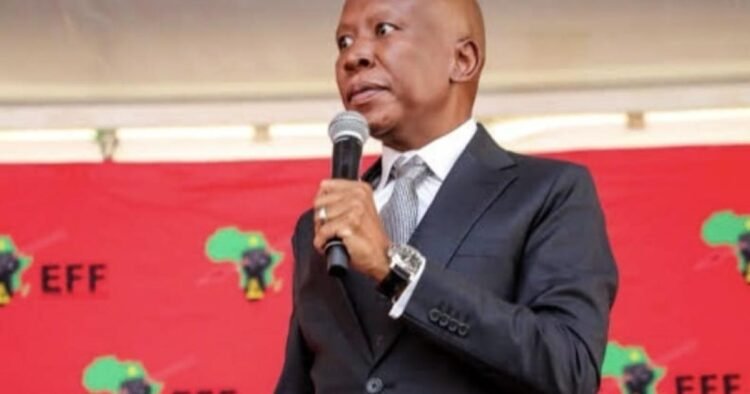 Julius Malema on Africa Day: It is shameful to celebrate the continent’s liberation while Western Sahara remains under occupation
