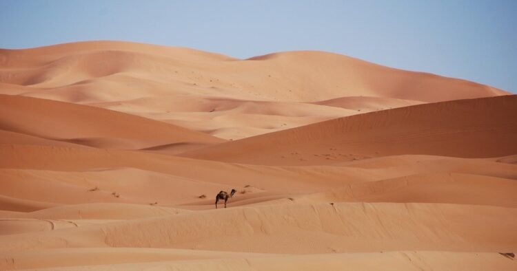 Sahara hell: 49 people died of thirst after being stranded in the desert. How two survivors saved themselves