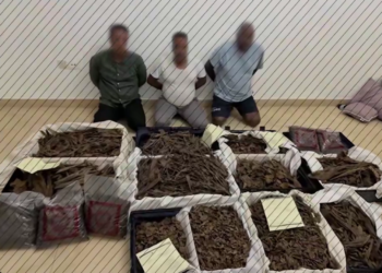 Video: Details of the fall of the “Oud Al Fakher Gang” into the hands of Dubai Police within 12 hours