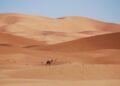 Sahara hell: 49 people died of thirst after being stranded in the desert. How two survivors saved themselves