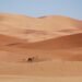 Sahara hell: 49 people died of thirst after being stranded in the desert. How two survivors saved themselves