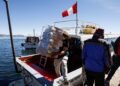 Peru chooses between Fujimori’s daughter and Castillo’s ally – 06/06/2026 – World