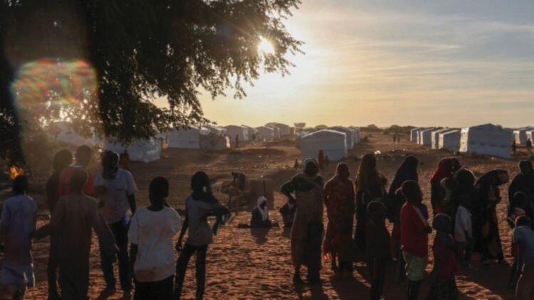Sudan: famine strikes children again In the war-ravaged country, abandoned fields and empty granaries. A crisis that suffocates the future