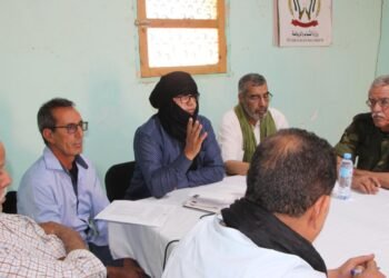 Political Organization Secretariat head chairs meeting of National Committee supervising Holidays in Peace program