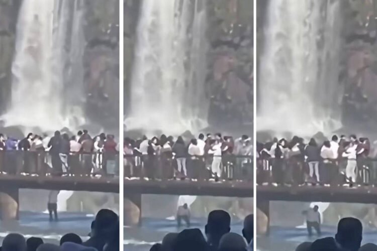 Tourist jumps into Iguaçu Falls to rescue cell phone – 06/07/2026 – Daily Life