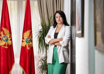 The government extended the mandate of many executives: Vučinić remains at the head of the Customs Administration