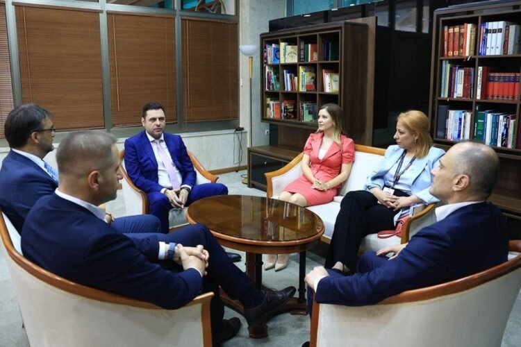 Delegation of the European Union in Skopje: The adoption of European values ​​makes the country a relevant member of the EU