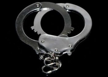Two arrested for vandalism and theft in South Al Batinah