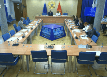 The committee supported: the Assembly will investigate the accident on Bioč and the “Flight of the Eagle”