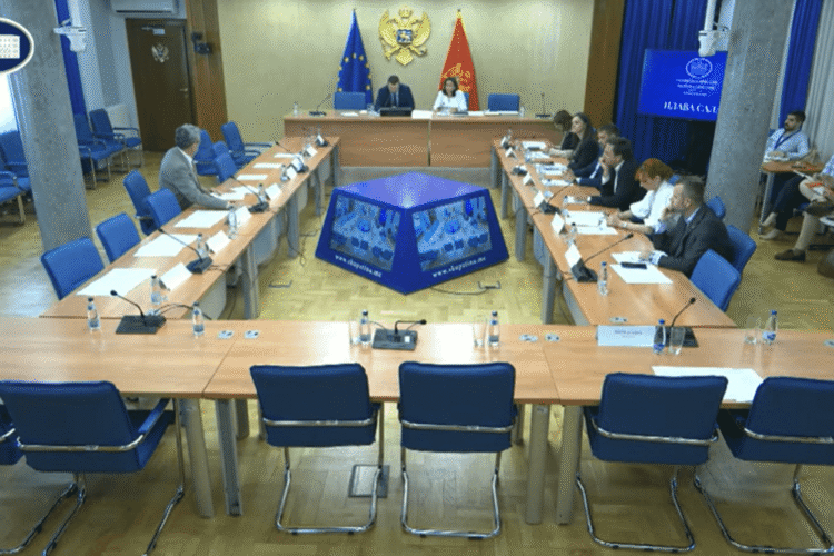 The committee supported: the Assembly will investigate the accident on Bioč and the “Flight of the Eagle”