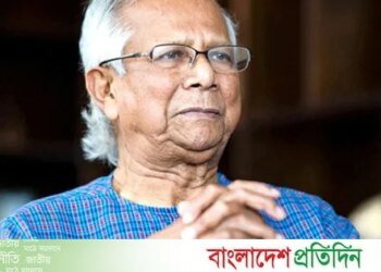 The destruction of the economy in the black law of Yunus