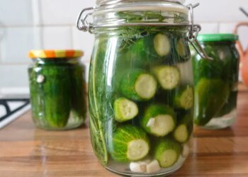 Telex: The (un)fermented cucumber that you only have to wait a day for