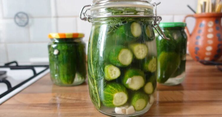 Telex: The (un)fermented cucumber that you only have to wait a day for