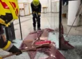 Car crashes into bank branch in Krems – DiePresse.com