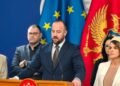 Nikolić: We have initiated a control hearing of the ministers and the director of the PIO Fund due to the position of pensioners