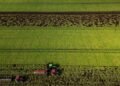 Carney to unveil new food security strategy