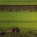 Carney to unveil new food security strategy