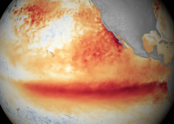 El Niño is already here: NOAA’s warning about a very strong phenomenon that could mark 2026 and 2027
