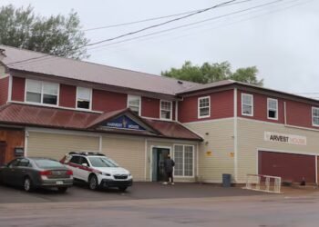 ‘We’ve never seen a spike like this’: Veterinary tranquillizer suspected in Moncton overdose surge
