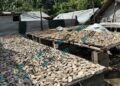 U.S. kava buyer expecting 100 tonnes for 500 bars returns with only four containers | News