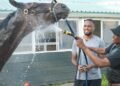 Canada’s Cyle Larin finds relaxation — and a competitive comparison — at the horse-racing track he grew up at