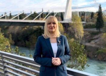 Borovinić-Bojović: I have never met with Đukanović, DNP attacks me