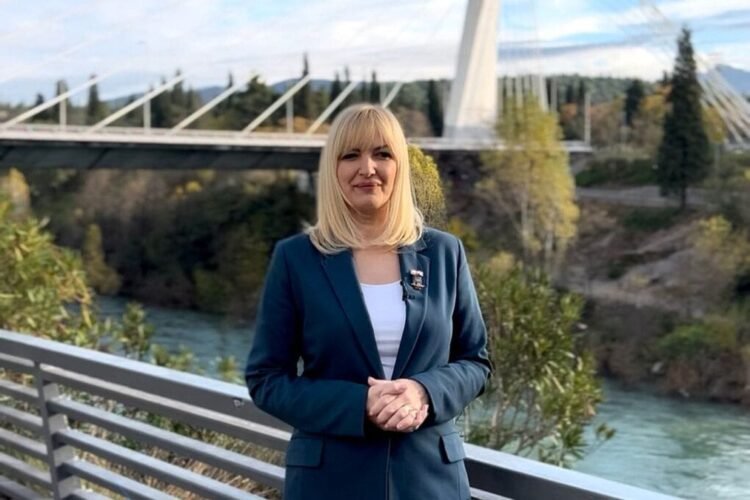 Borovinić-Bojović: I have never met with Đukanović, DNP attacks me