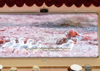 Environmental legislation forum held in South Al Batinah Governorate