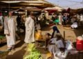 Nicque Graham | World Food Safety Day 2026 – From burden to solutions – safe food everywhere | Health
