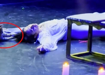 A cat sneaks onto the stage and destroys the final scene of Romeo and Juliet