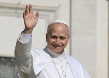Pope: The environmental crisis is a facet of the socio-economic crisis