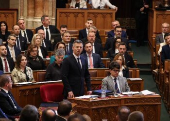 Telex: According to Amnesty and Helsinki, Tisza should break with the migration of the Fidesz government