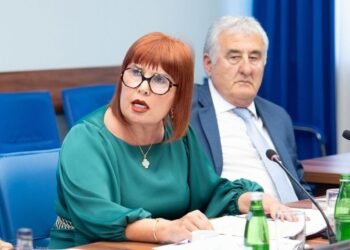 Pavličić in the Assembly: Let us work, some processes are more in the media and politics