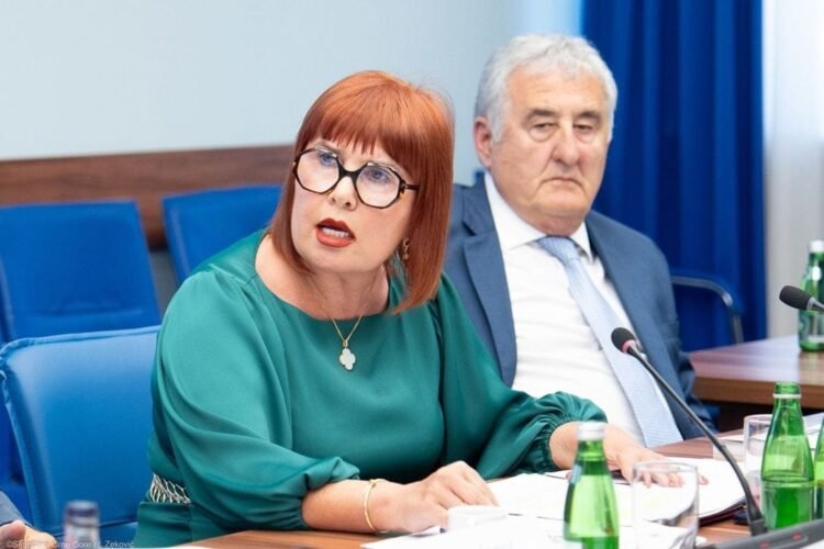 Pavličić in the Assembly: Let us work, some processes are more in the media and politics