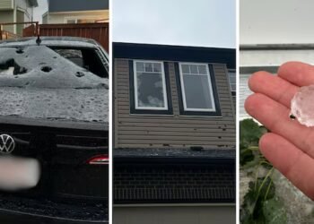 Extreme weather part of 400% hike in Alberta home insurance premiums over 20 years: StatsCan