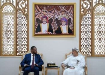 Minister of Transport, Communications meets First Deputy President of Libyan High Council