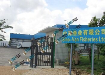 Audit underway to review Sino-Van's future