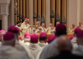 Catholic Bishops consecrate USA to Sacred Heart of Jesus