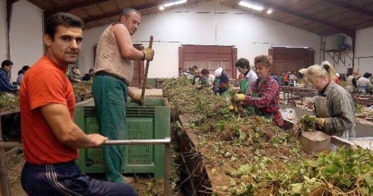 Why do Romanians no longer want to work in Spain? The Spanish, worried about the exodus: the labor market is feeling the first effects