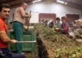 Why do Romanians no longer want to work in Spain? The Spanish, worried about the exodus: the labor market is feeling the first effects
