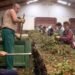Why do Romanians no longer want to work in Spain? The Spanish, worried about the exodus: the labor market is feeling the first effects
