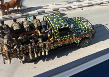 From the world Somalia: anti al-Shabaab operation in Lower Shabelle The Somali Danab special forces killed 14 militants of al-Shabaab, a Somali al-Quaeda cell operating in the country since 2008, in a targeted raid in Lower Shabelle, also destroying a …