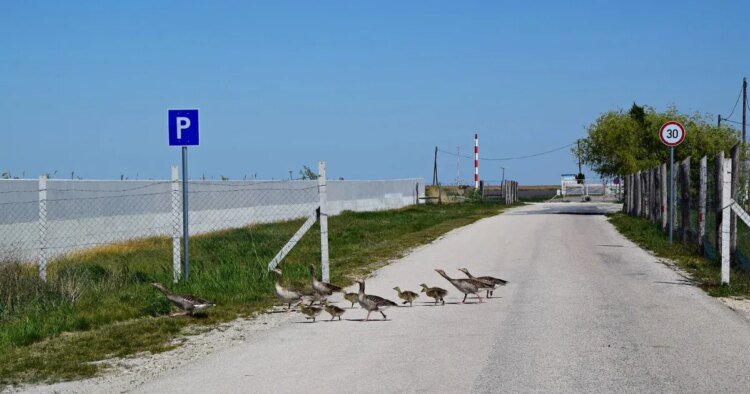 We show you how concrete is flooding the country
